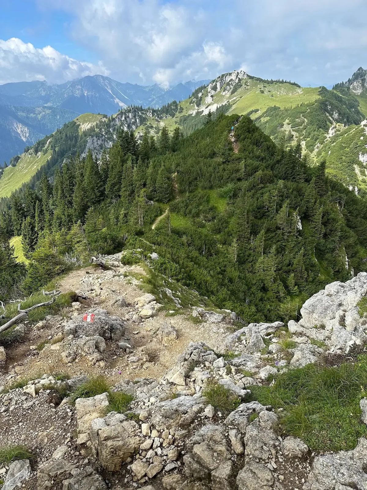 Ein steiniger, felsiger Wanderweg, markiert mit roten und weißen Markierungen auf einem Felsen. Der Pfad führt über einen grünen, mit Nadelbäumen bewachsenen Bergrücken mit weiten Ausblicken auf die umliegenden Gipfel und Täler.