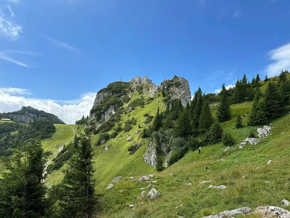 Ein steiler, grasbewachsener Berghang mit vereinzelten Nadelbäumen und Felsen führt zu einem zerklüfteten Felsgipfel. Im Hintergrund links ist eine kleine Almhütte auf einer Kuppe zu sehen.