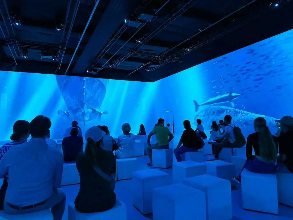 Eine immersive, großformatige Projektion der Unterwasserwelt mit einem Wal, Fischen und dem Wrack der Titanic, die von Besuchern betrachtet wird, die auf weißen Würfelhockern sitzen.