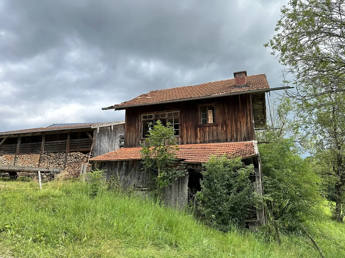 Ein verwittertes, zweistöckiges Holzhaus mit einem Ziegeldach, das teilweise von überwuchernden Büschen verdeckt wird. Links daneben steht ein großer, offener Holzschuppen, in dem Feuerholz gestapelt ist. Der Himmel ist bewölkt und dunkel.
