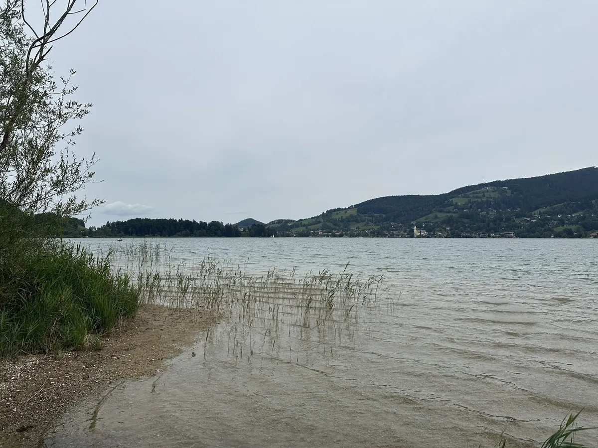 Eine weite Ansicht vom Schliersee vom Ufer aus. Schilf wächst im seichten Wasser im Vordergrund. Am gegenüberliegenden Ufer sind eine Ortschaft und bewaldete Hügel unter einem hellen, bewölkten Himmel zu sehen.