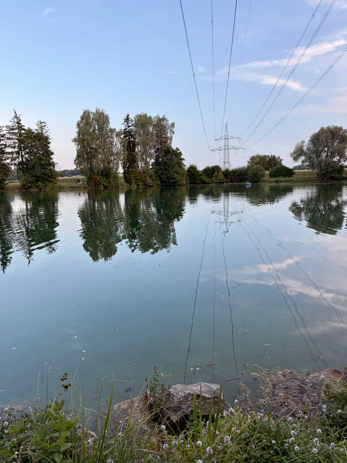 Ruhiger Weiher mit spiegelnder Wasseroberfläche, Bäumen am Ufer und Hochspannungsleitungen, die über das Wasser verlaufen. Im Vordergrund sind Steine, Gräser und kleine Pflanzen zu sehen.
