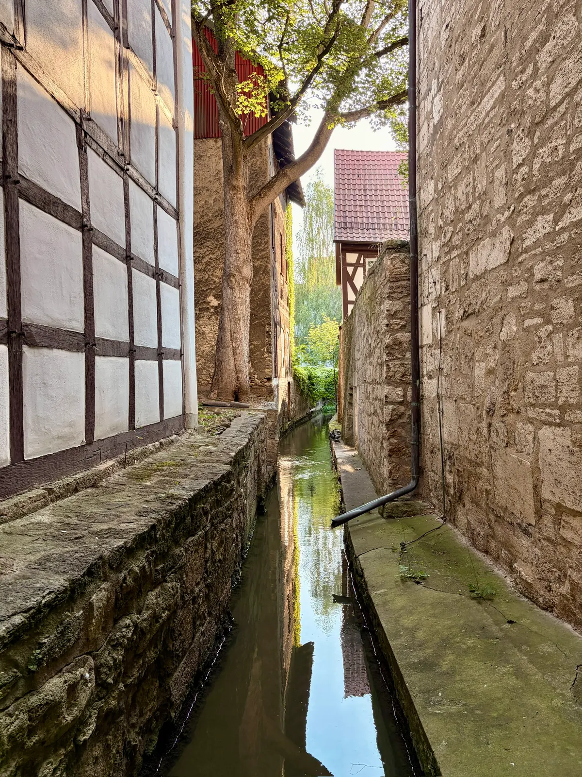 Schmaler Wasserlauf zwischen alten Fachwerk- und Steinmauern in der Mühlhäuser Altstadt. Sonnenlicht fällt durch die Bäume und spiegelt sich im Wasser.