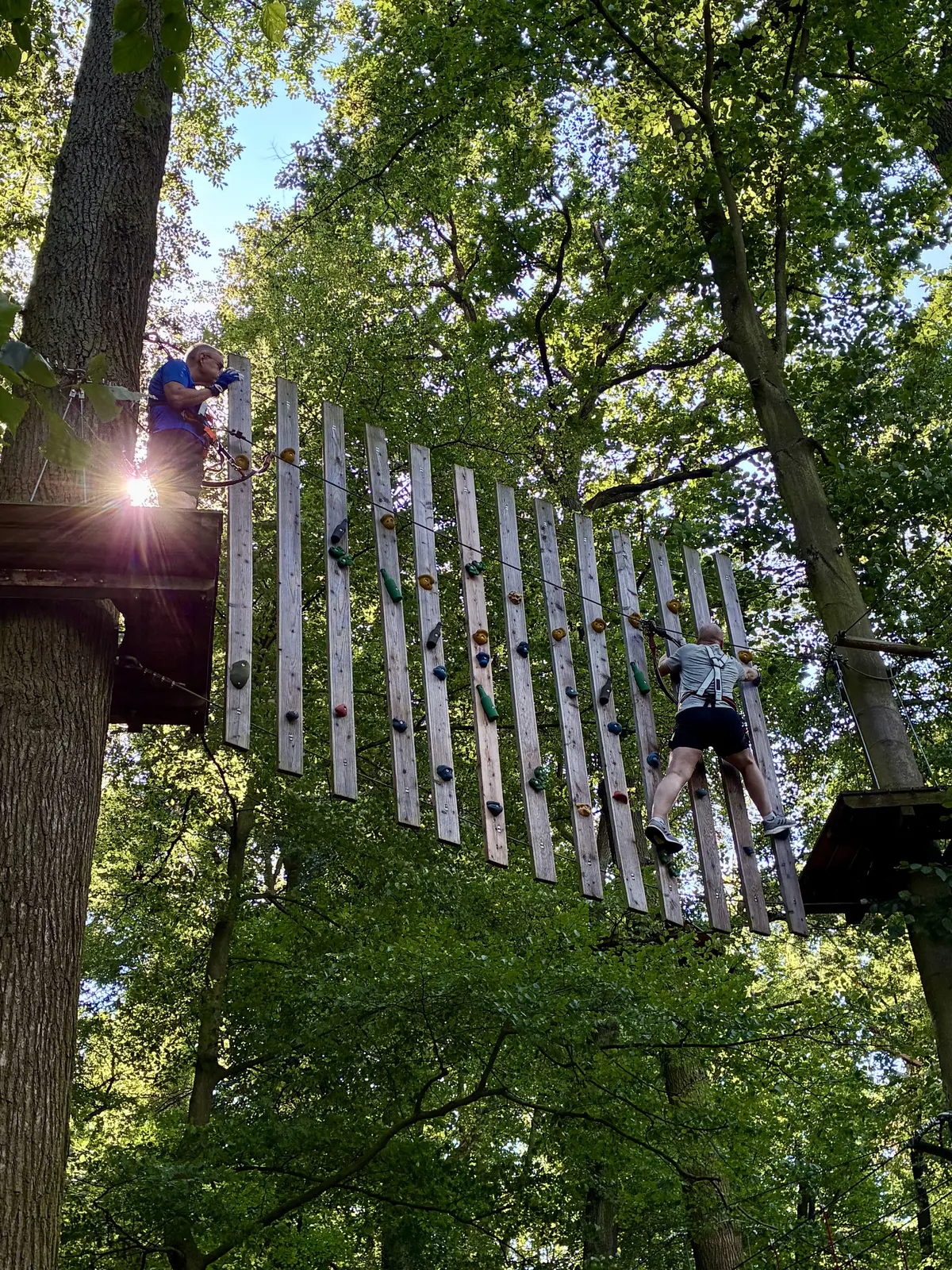 Zwei Personen klettern in einem Hochseilgarten über eine schmale Hängebrücke zwischen Bäumen. Sonnenlicht fällt durch das dichte grüne Blätterdach.